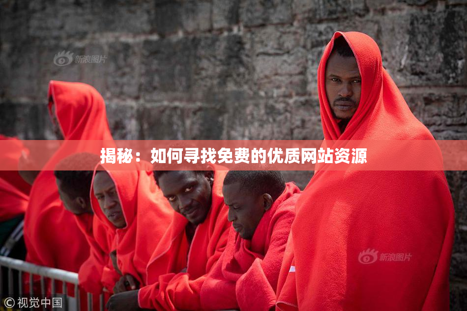 揭秘：如何寻找免费的优质网站资源