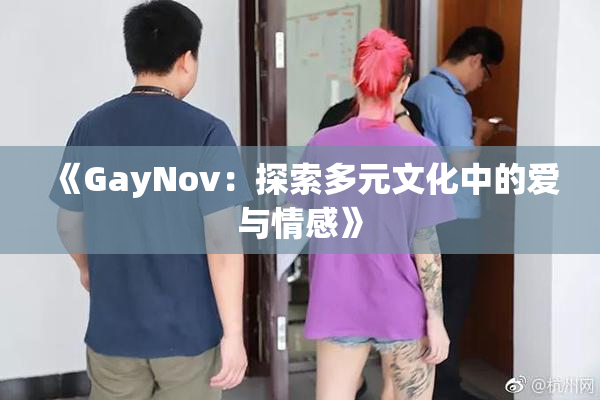 《GayNov：探索多元文化中的爱与情感》