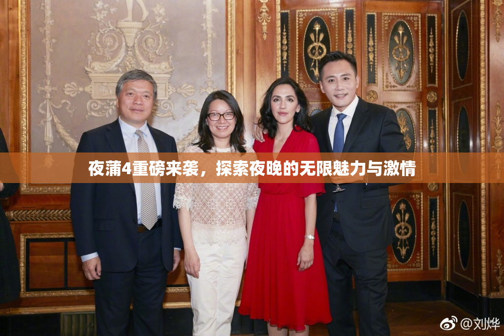 夜蒲4重磅来袭，探索夜晚的无限魅力与激情