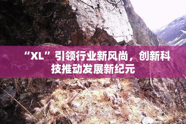 “XL”引领行业新风尚，创新科技推动发展新纪元