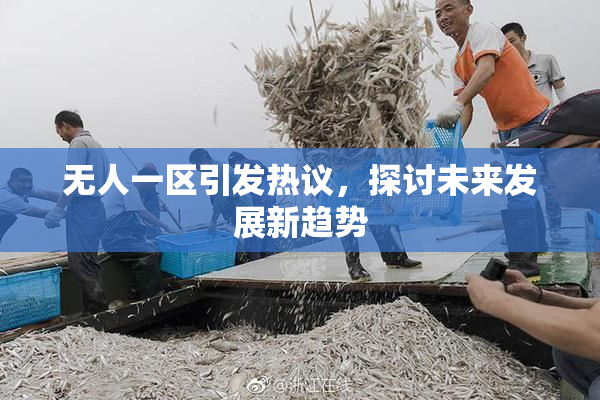无人一区引发热议，探讨未来发展新趋势