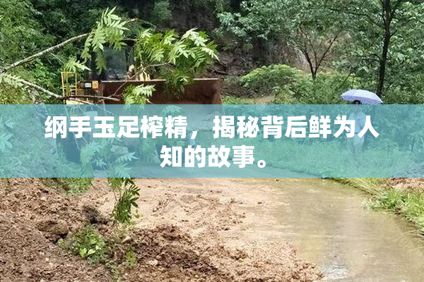 纲手玉足榨精，揭秘背后鲜为人知的故事。