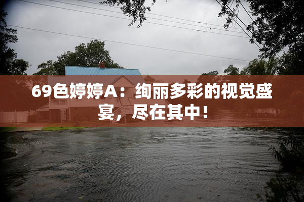 69色婷婷A：绚丽多彩的视觉盛宴，尽在其中！