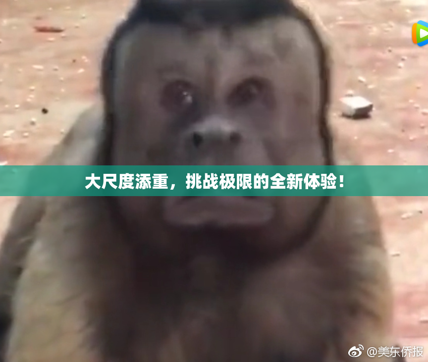大尺度添重，挑战极限的全新体验！