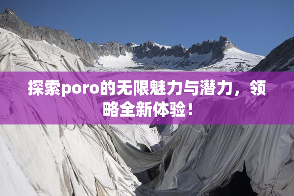 探索poro的无限魅力与潜力，领略全新体验！