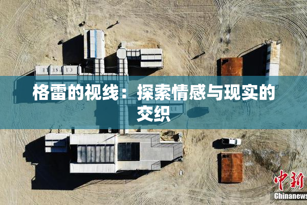 格雷的视线：探索情感与现实的交织