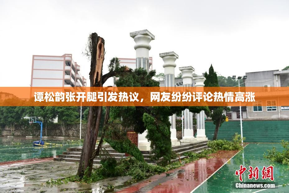 谭松韵张开腿引发热议，网友纷纷评论热情高涨