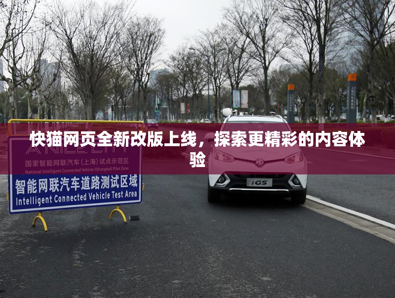 快猫网页全新改版上线，探索更精彩的内容体验