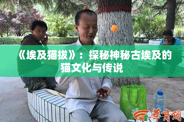 《埃及猫拔》：探秘神秘古埃及的猫文化与传说