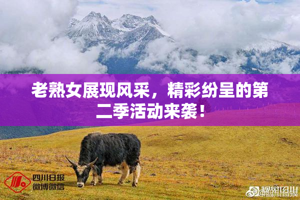 老熟女展现风采，精彩纷呈的第二季活动来袭！