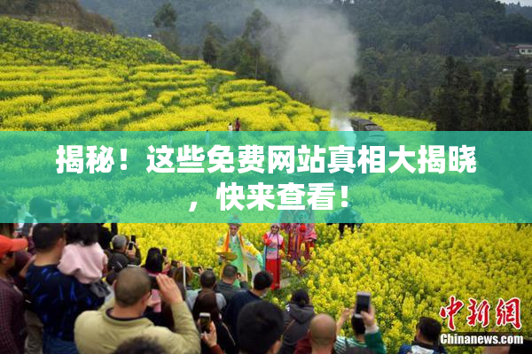揭秘！这些免费网站真相大揭晓，快来查看！