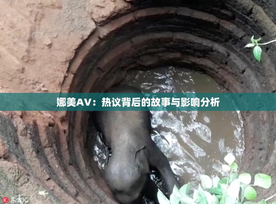 娜美AV：热议背后的故事与影响分析