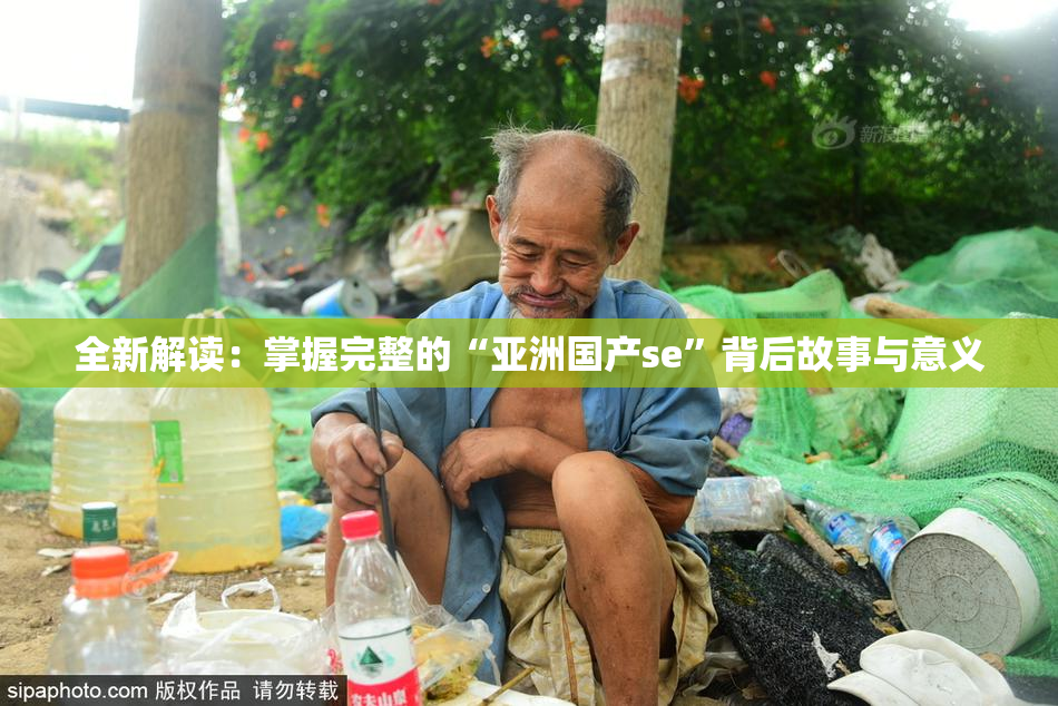 全新解读：掌握完整的“亚洲国产se”背后故事与意义