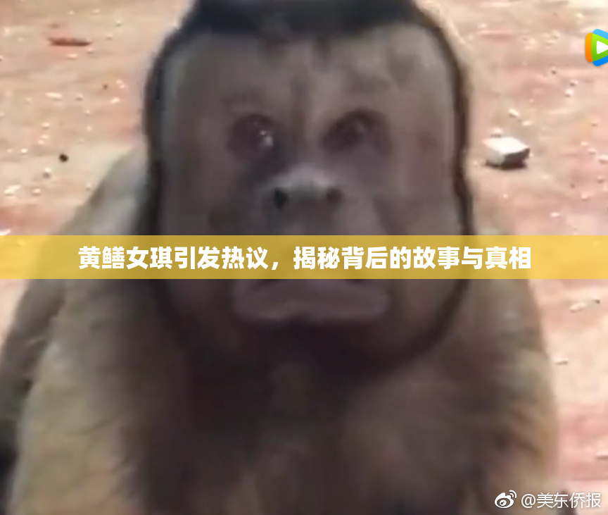 黄鳝女琪引发热议，揭秘背后的故事与真相