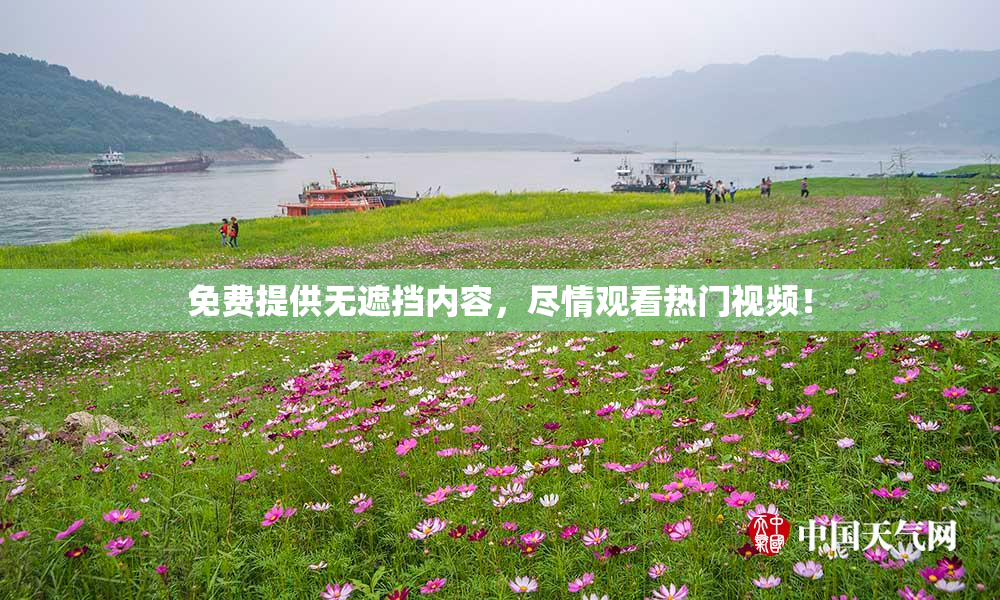免费提供无遮挡内容，尽情观看热门视频！