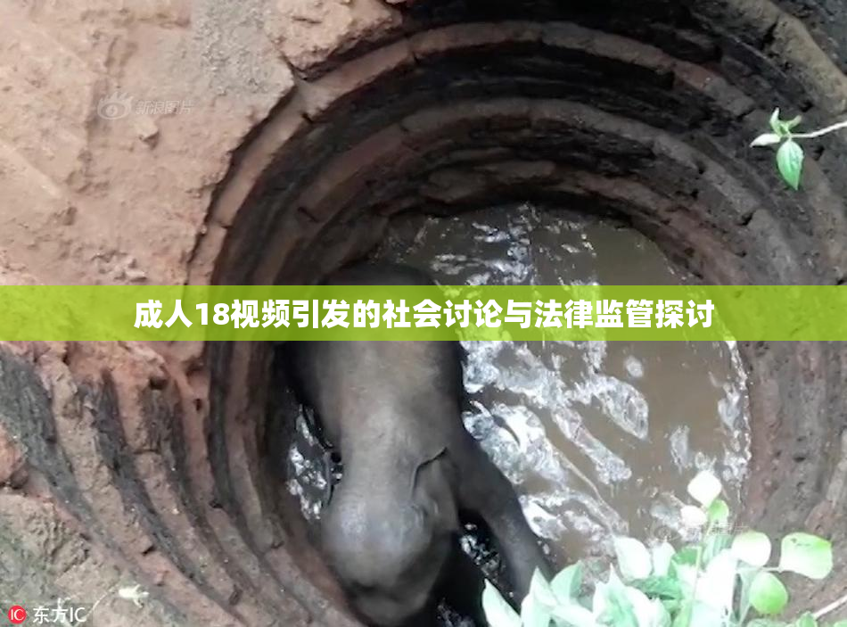 成人18视频引发的社会讨论与法律监管探讨