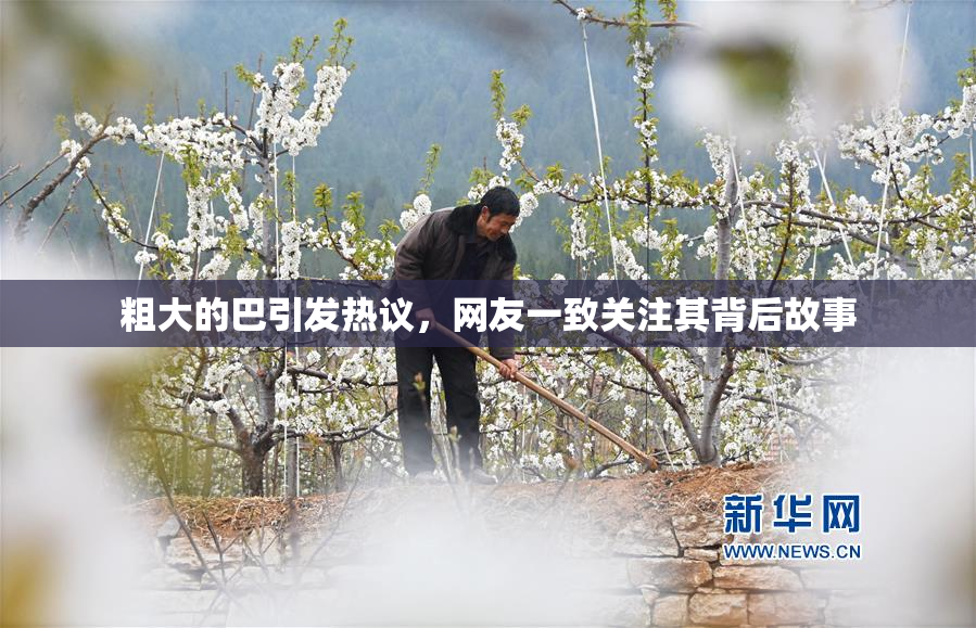 粗大的巴引发热议，网友一致关注其背后故事