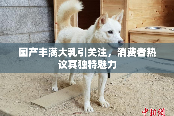 国产丰满大乳引关注，消费者热议其独特魅力