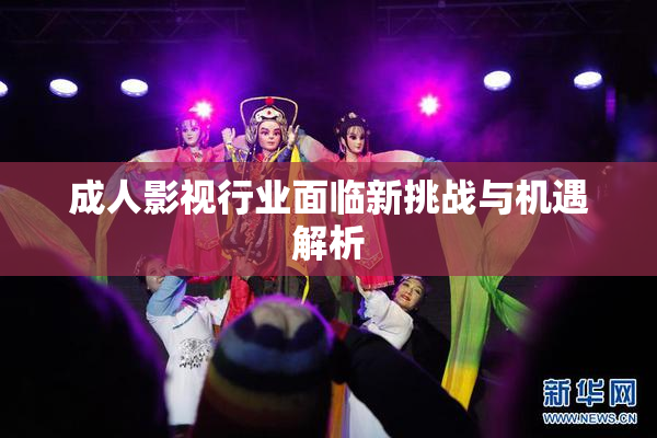 成人影视行业面临新挑战与机遇解析