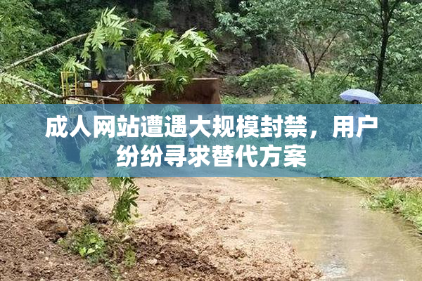 成人网站遭遇大规模封禁，用户纷纷寻求替代方案