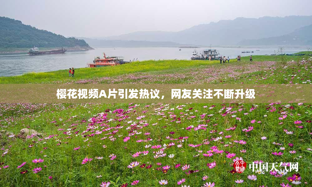 樱花视频A片引发热议，网友关注不断升级