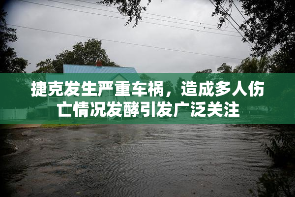 捷克发生严重车祸，造成多人伤亡情况发酵引发广泛关注