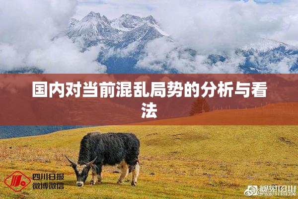 国内对当前混乱局势的分析与看法