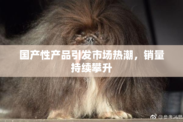 国产性产品引发市场热潮，销量持续攀升