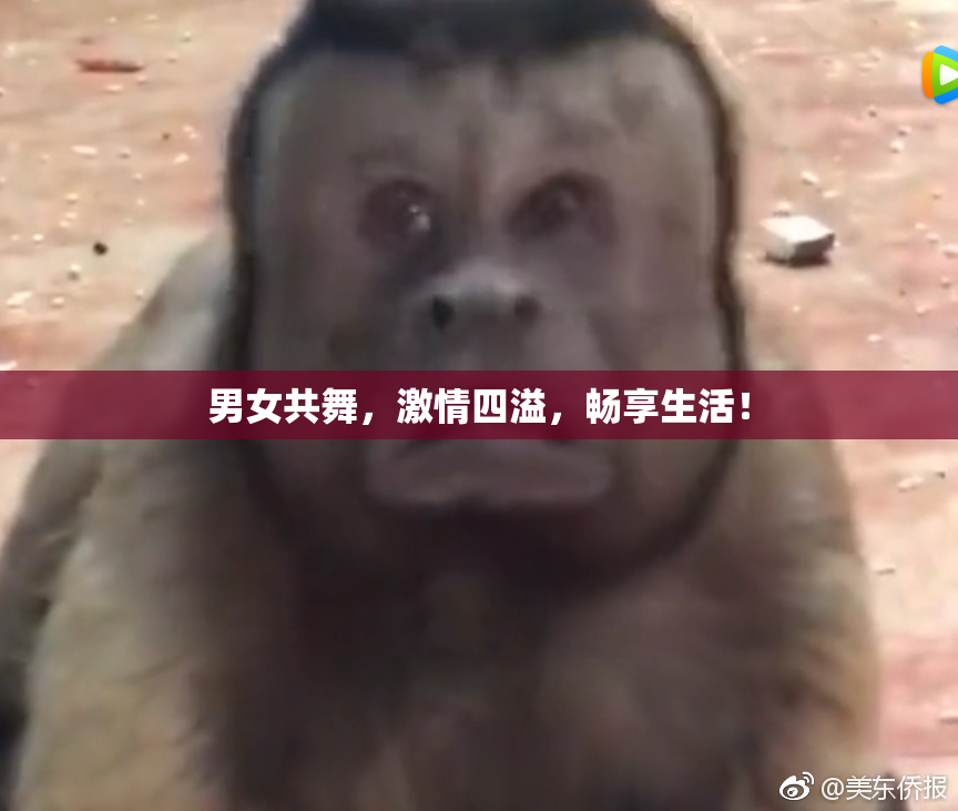 男女共舞，激情四溢，畅享生活！