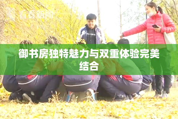御书房独特魅力与双重体验完美结合