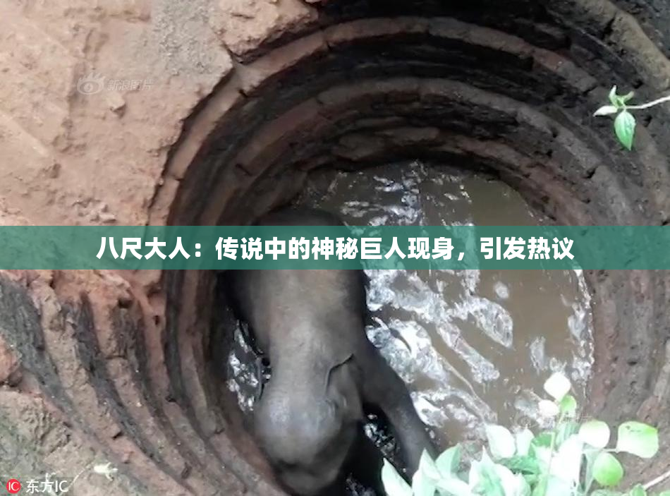 八尺大人：传说中的神秘巨人现身，引发热议