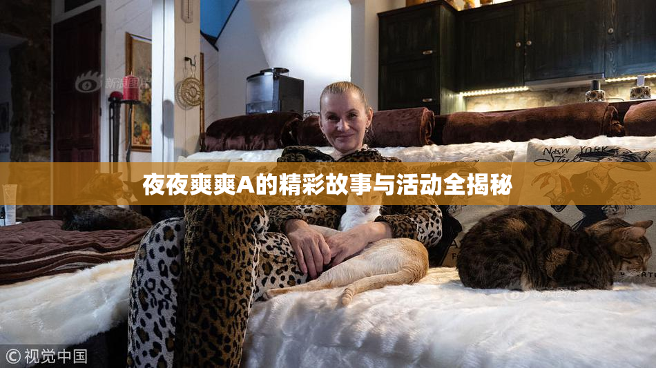 夜夜爽爽A的精彩故事与活动全揭秘