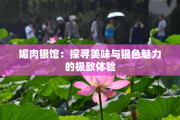 媚肉银馆：探寻美味与银色魅力的极致体验