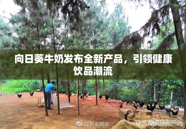 向日葵牛奶发布全新产品，引领健康饮品潮流