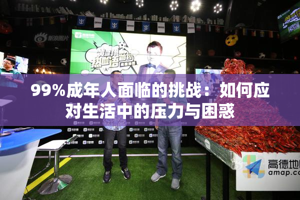 99%成年人面临的挑战：如何应对生活中的压力与困惑