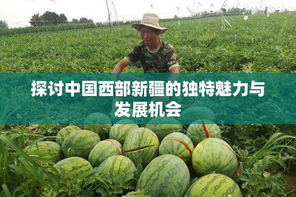 探讨中国西部新疆的独特魅力与发展机会