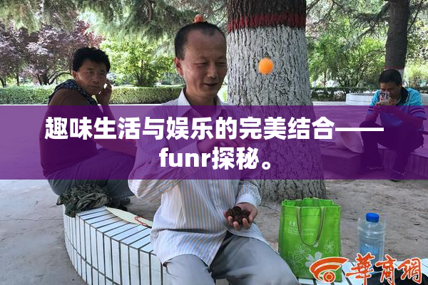 趣味生活与娱乐的完美结合——funr探秘。