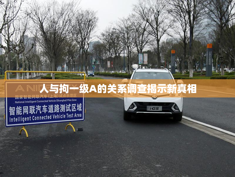 人与拘一级A的关系调查揭示新真相