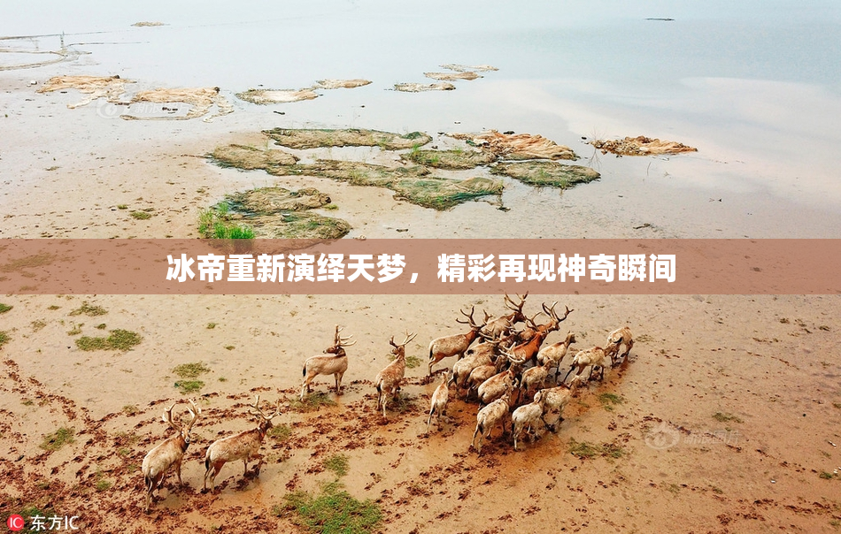 冰帝重新演绎天梦，精彩再现神奇瞬间
