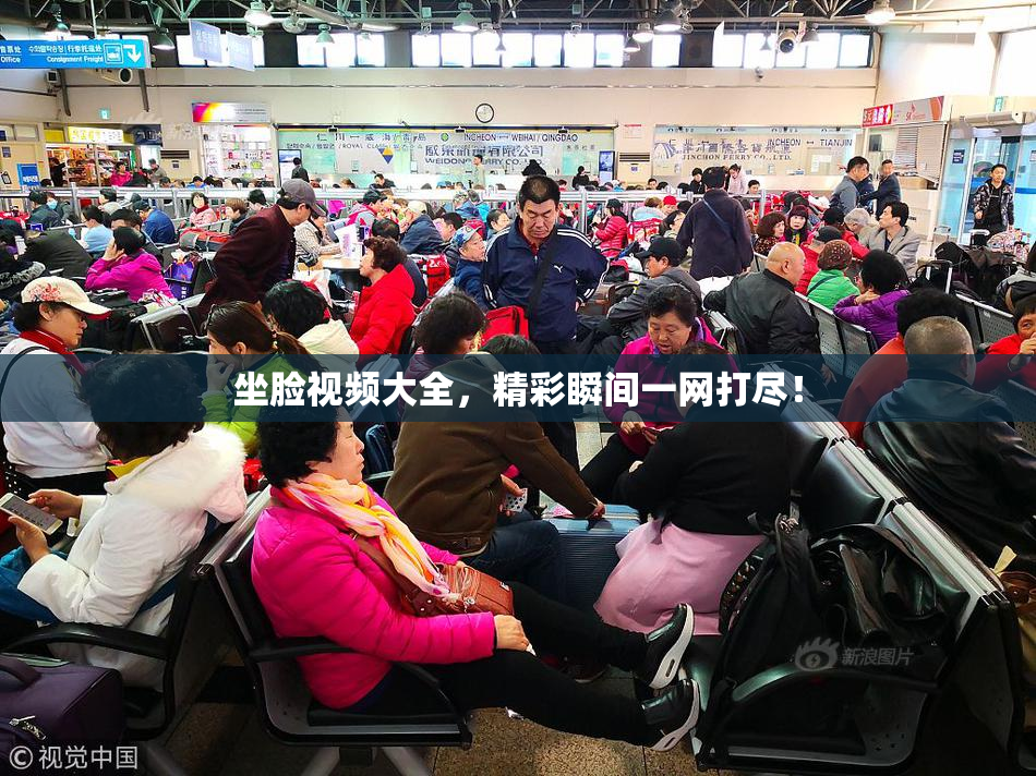 坐脸视频大全，精彩瞬间一网打尽！