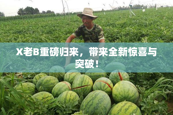 X老B重磅归来，带来全新惊喜与突破！