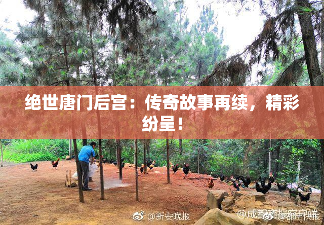 绝世唐门后宫：传奇故事再续，精彩纷呈！