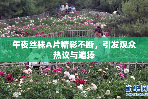午夜丝袜A片精彩不断，引发观众热议与追捧