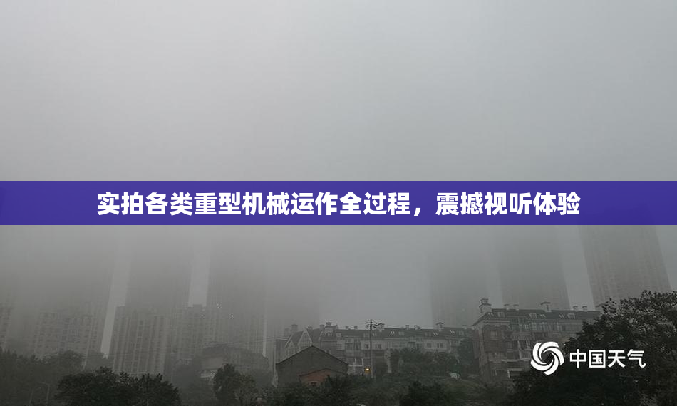 实拍各类重型机械运作全过程，震撼视听体验