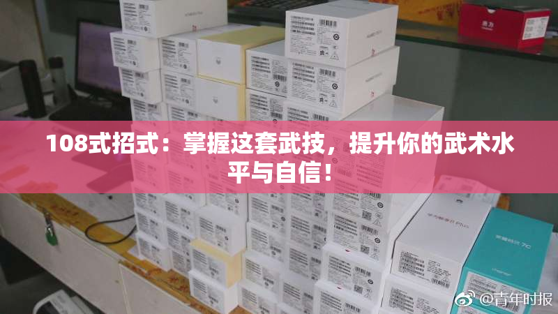 108式招式：掌握这套武技，提升你的武术水平与自信！