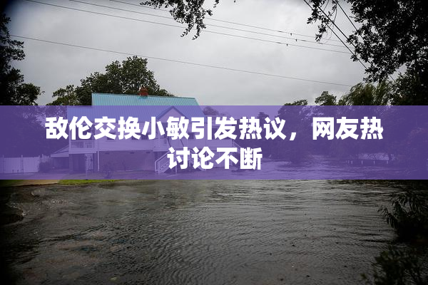 敌伦交换小敏引发热议，网友热讨论不断