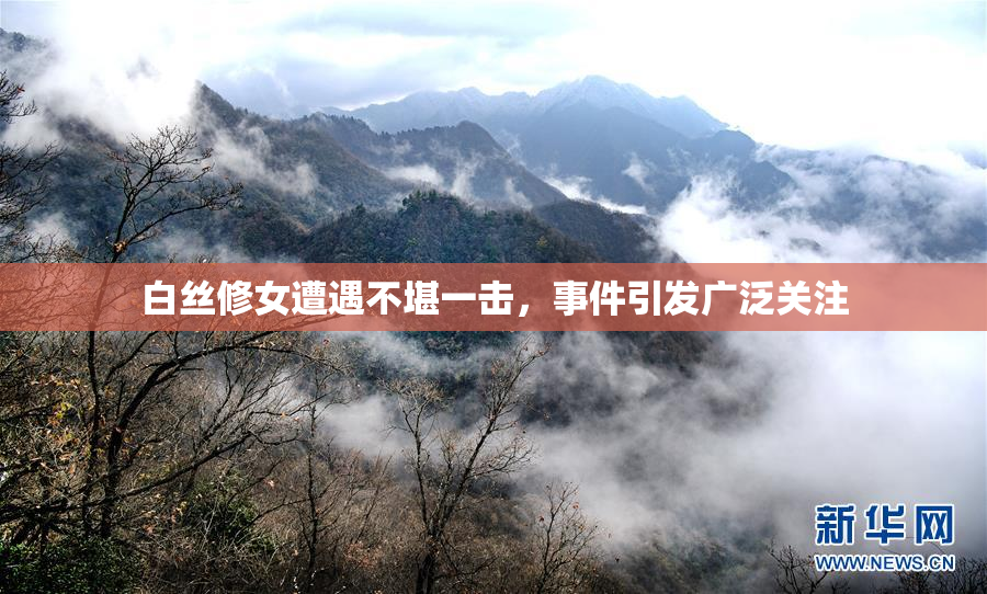 白丝修女遭遇不堪一击，事件引发广泛关注