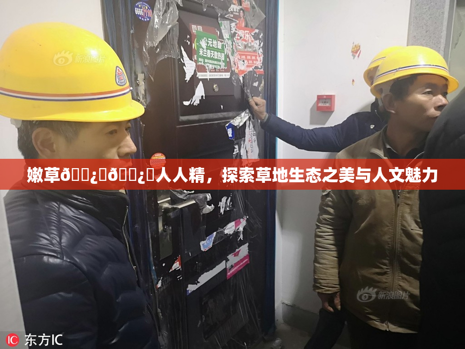 嫩草🌿‌🌿‌人人精，探索草地生态之美与人文魅力