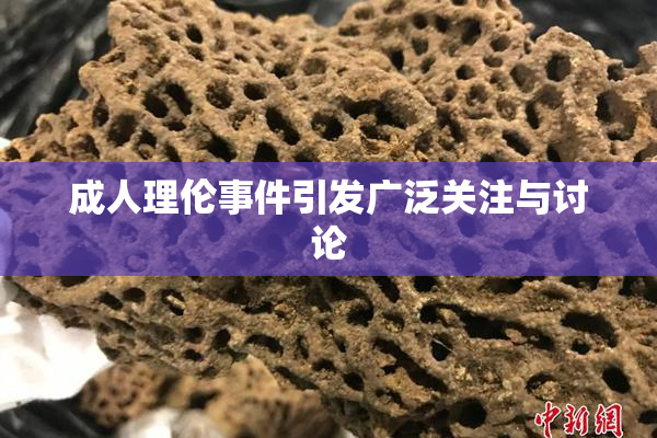 成人理伦事件引发广泛关注与讨论