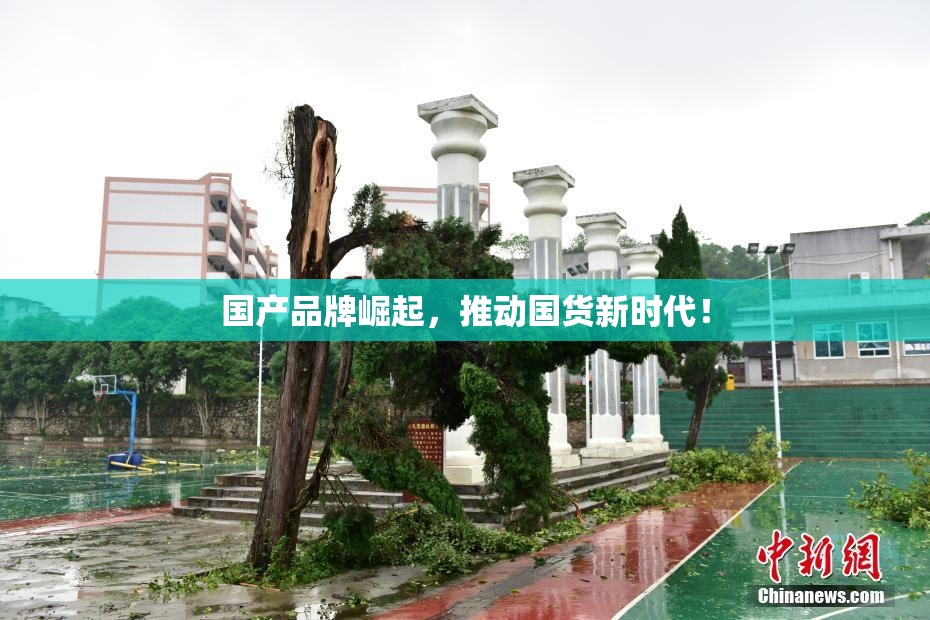 国产品牌崛起，推动国货新时代！